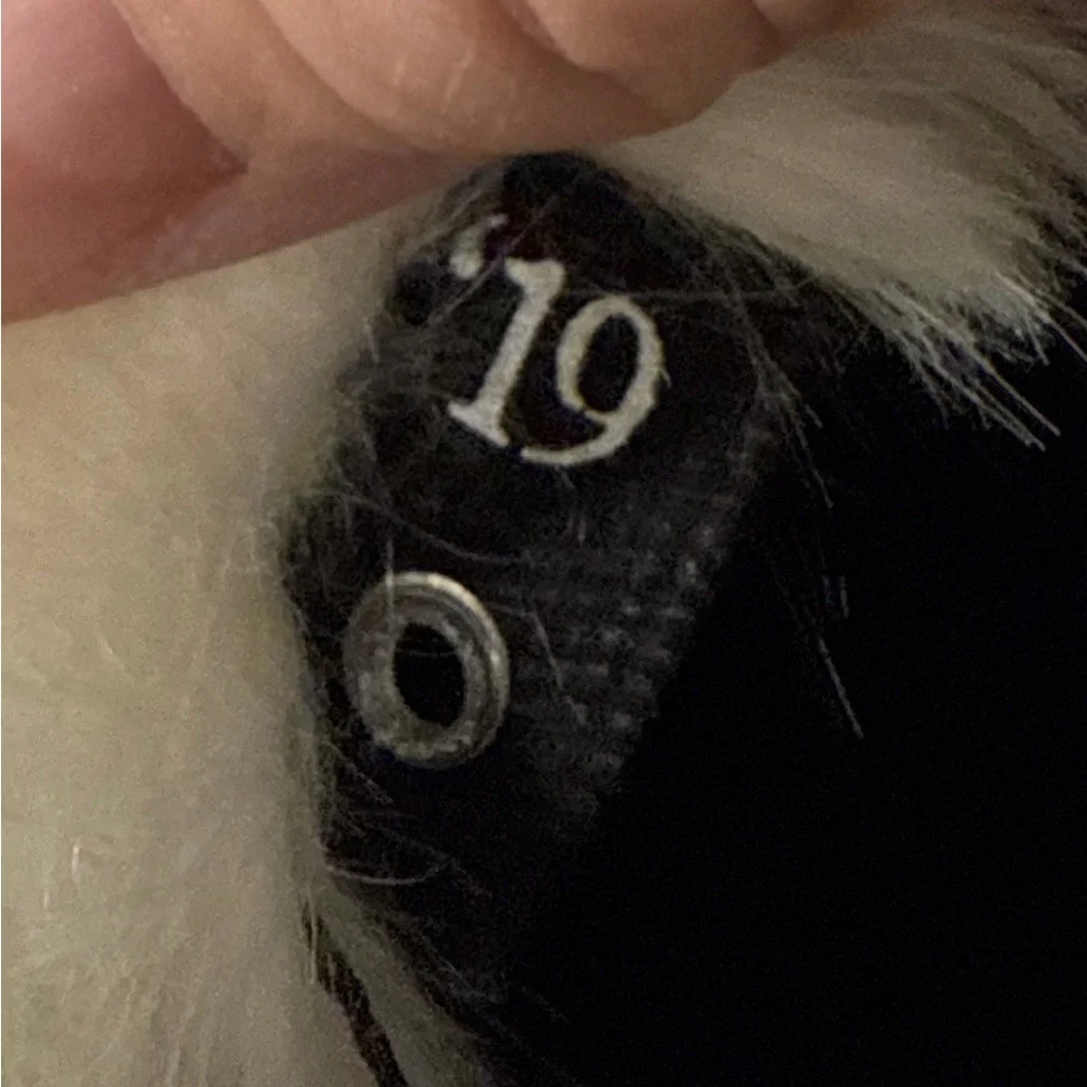 RARE SpiritHoods MOON WOLF Collector's Edition SHAWL Cloak Scarf Secret Pawket - Picture 11 of 12